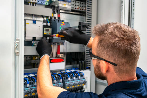 Best Electrician Near Me  in Lake Catherine, IL