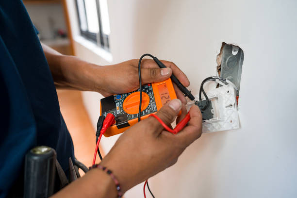 Best Electrical System Inspection  in Lake Catherine, IL