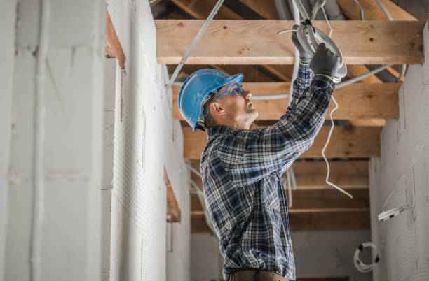 Best Industrial Electrical Services  in Lake Catherine, IL
