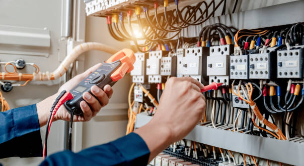 Best Electric Panel Repair  in Lake Catherine, IL