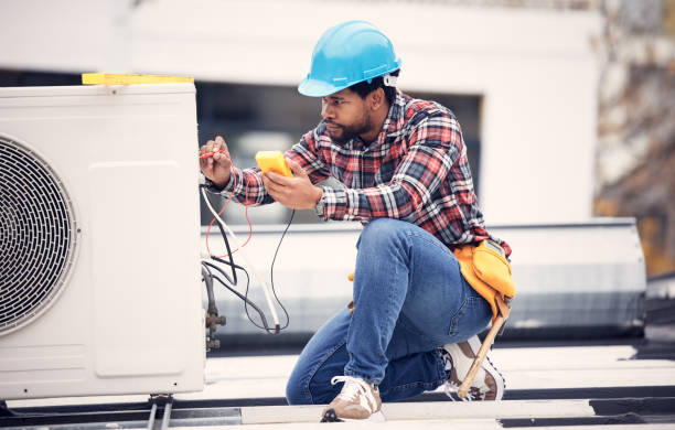 Best Electrician Near Me  in Lake Catherine, IL