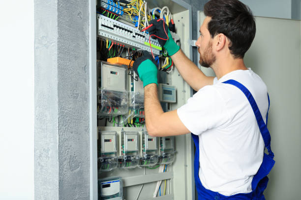 Best Licensed Electrician  in Lake Catherine, IL
