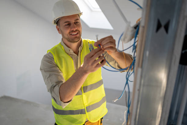 Best Home Electrical Repair  in Lake Catherine, IL